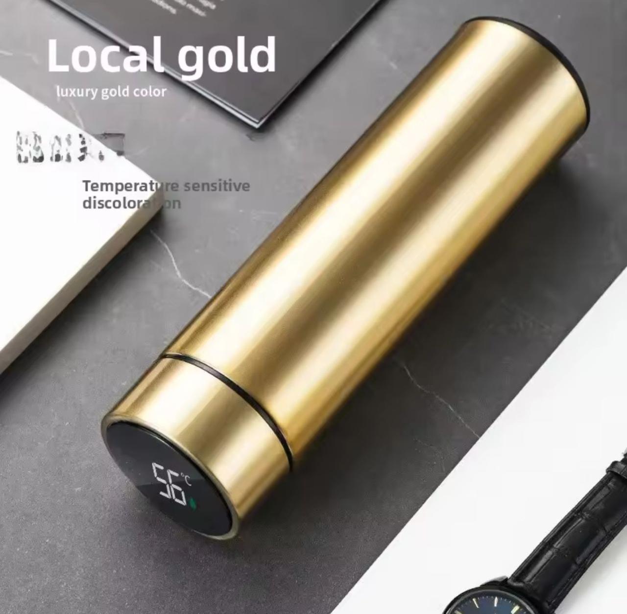 TERMO INTELIGENTE CON PANTALLA LED