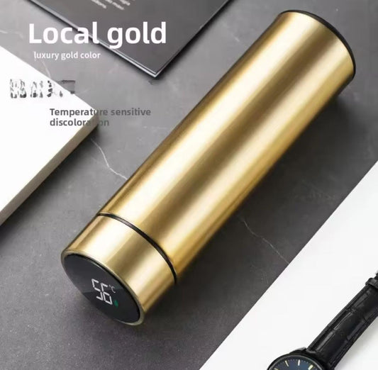 TERMO INTELIGENTE CON PANTALLA LED