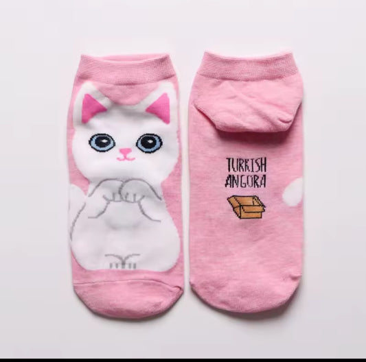 MEDIAS GATO X12