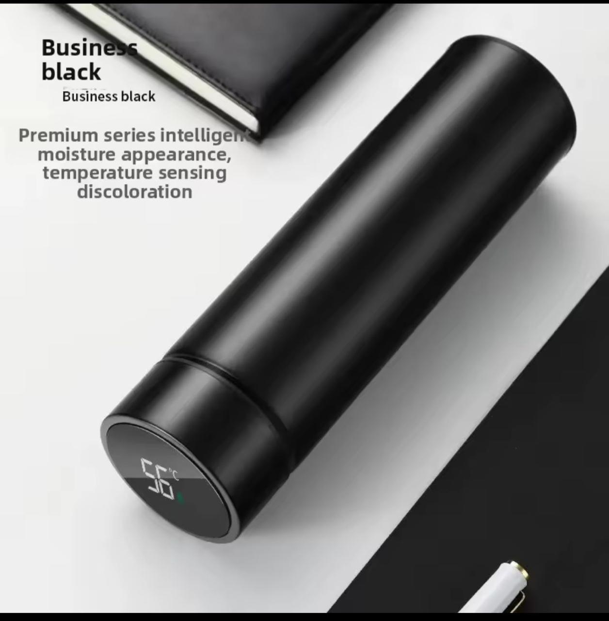 TERMO INTELIGENTE CON PANTALLA LED