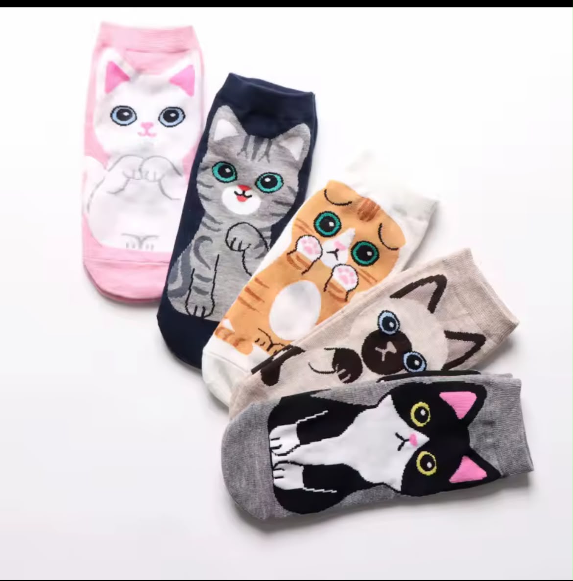 MEDIAS GATO X12